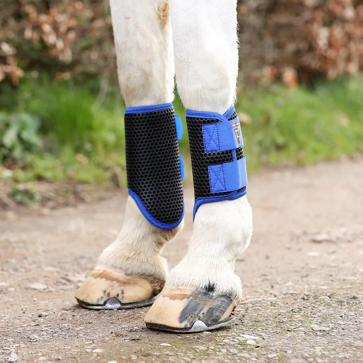 Equilibrium Tri-Zone Brushing Boots Blue